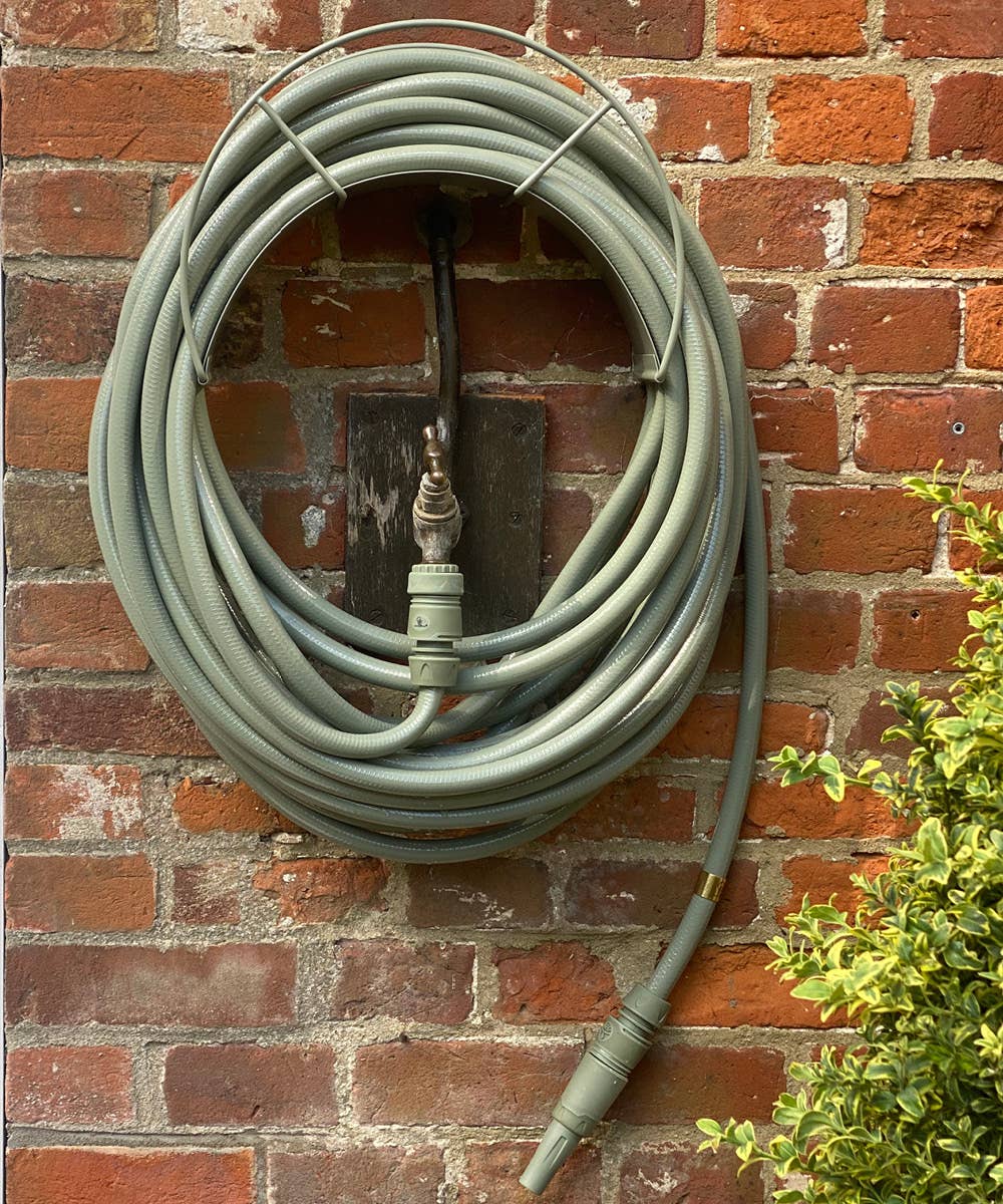 Eucalyptus Support de tuyau en feuille d'eucalyptus en vente sur Faire1