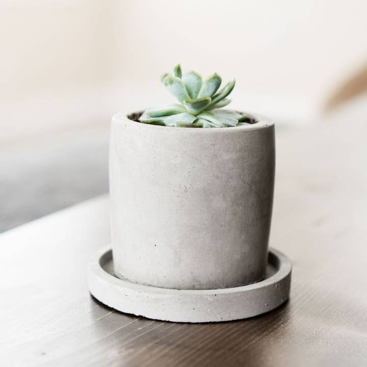 Small Concrete Planter for wholesale by Made by Deborah