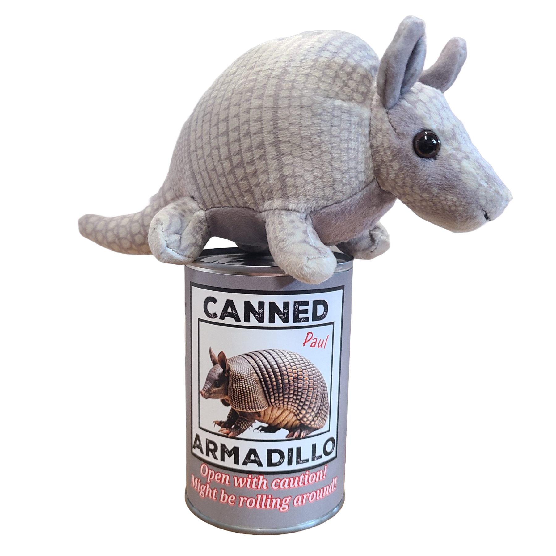 Canned Gifts - Vendita all'ingrosso Peluche - Bambini e neonati - Armadillo in scatola | Peluche di peluche con scherzi divertenti sulla lattina6