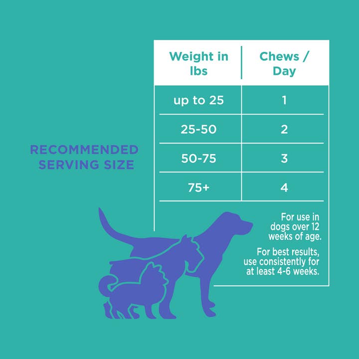 Natural Rapport - Wholesale Pet Supplement - Dog - The Only Digestive Support Soft Chews Dogs Need5