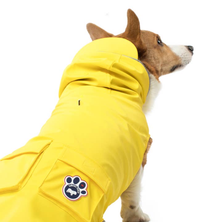 Yellow Torrential Tracker Dog Raincoat (Yellow) for wholesale on Faire1