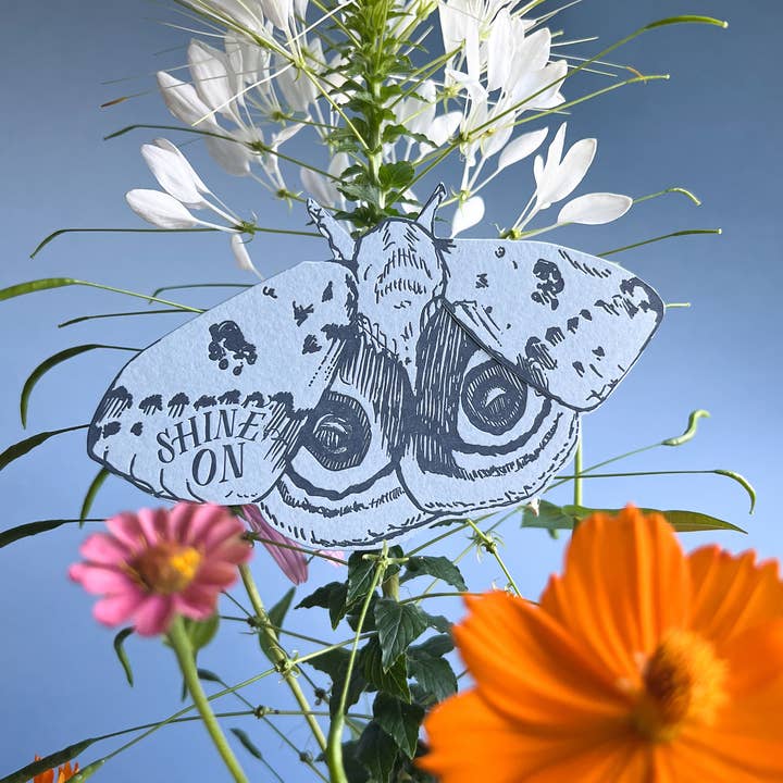 Blackbird Letterpress - Wholesale Everyday Greeting Card - Io moth shine on gift card2