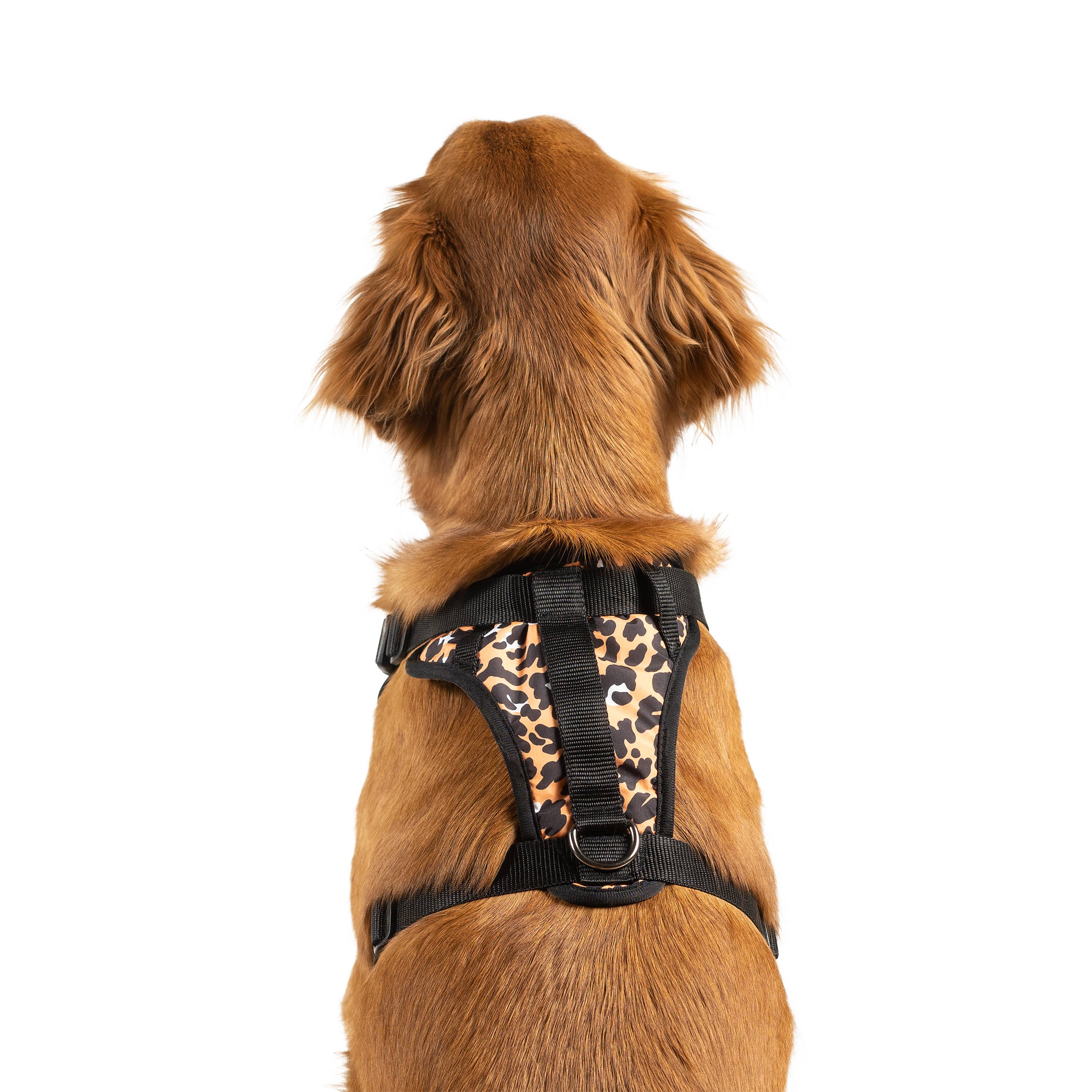 Canada Pooch – wholesale Pet harness – Dog – Everything Harness- No-Pull Dog Harness (Water Resistant)26