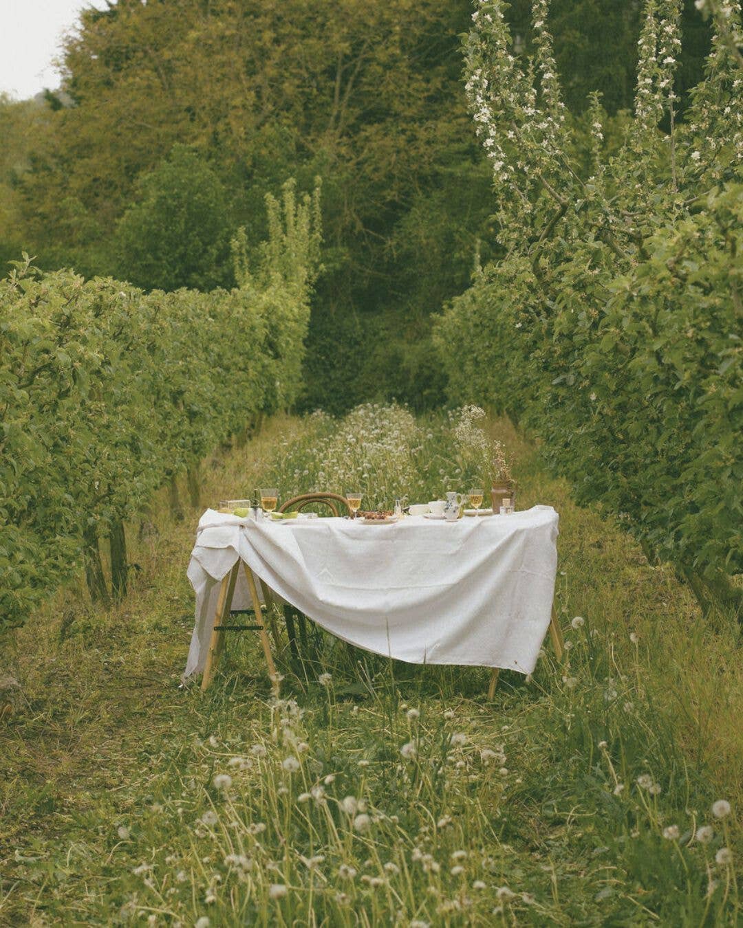 Poécile - Wholesale Perfume/Eau de Toilette - Eau de parfum - Jardin Originel - Normandie1