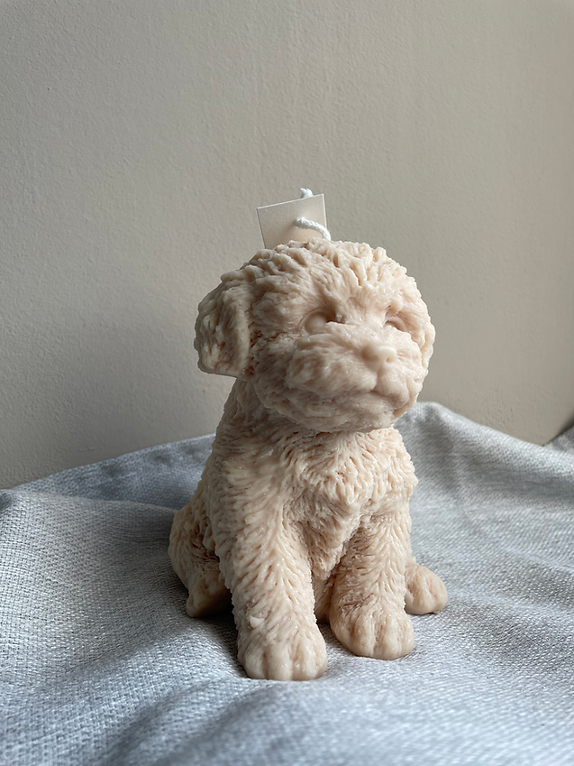 Silke-Amsterdam - Wholesale Grappige kaars - Puppy Kaars XL | Dierenkaars | Silke-Amsterdam3