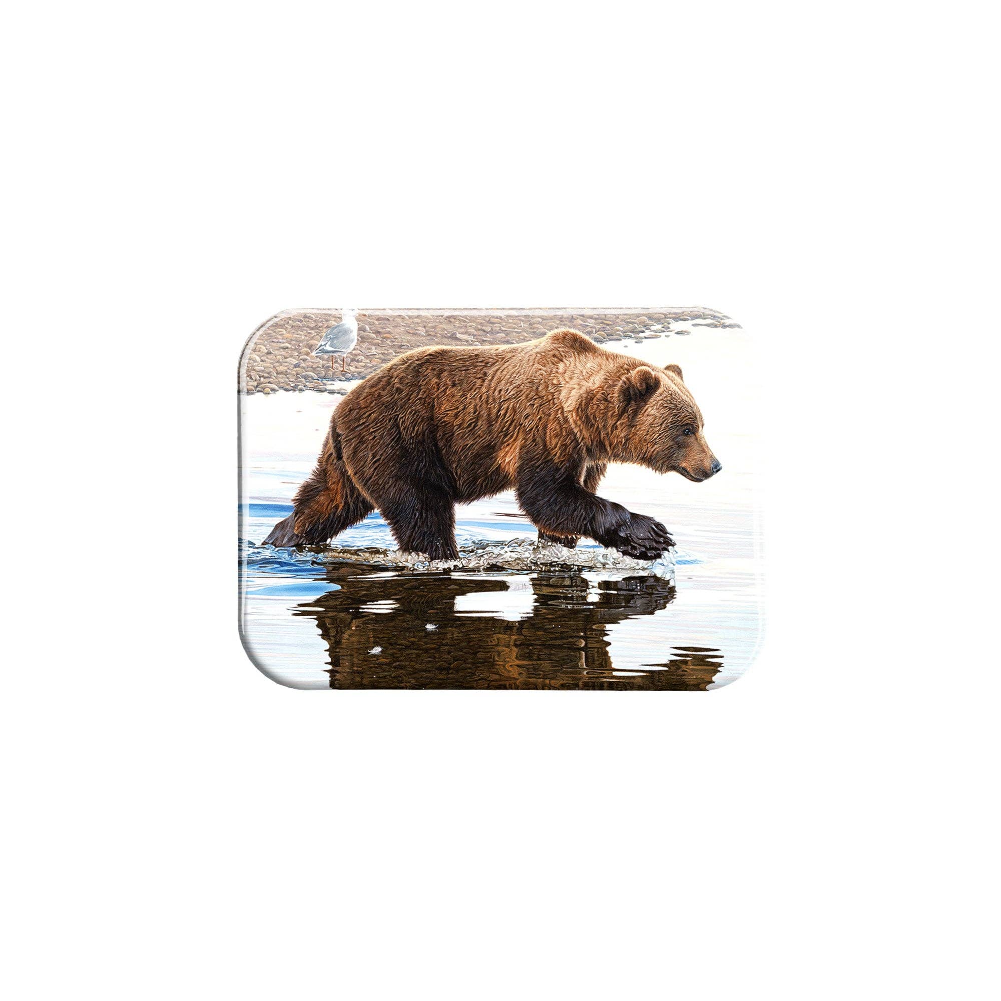 Airstrike - Wholesale Magnet - "Kodiak Collaboration" - 2.5" X 3.5" Rectangle Fridge Magnets0