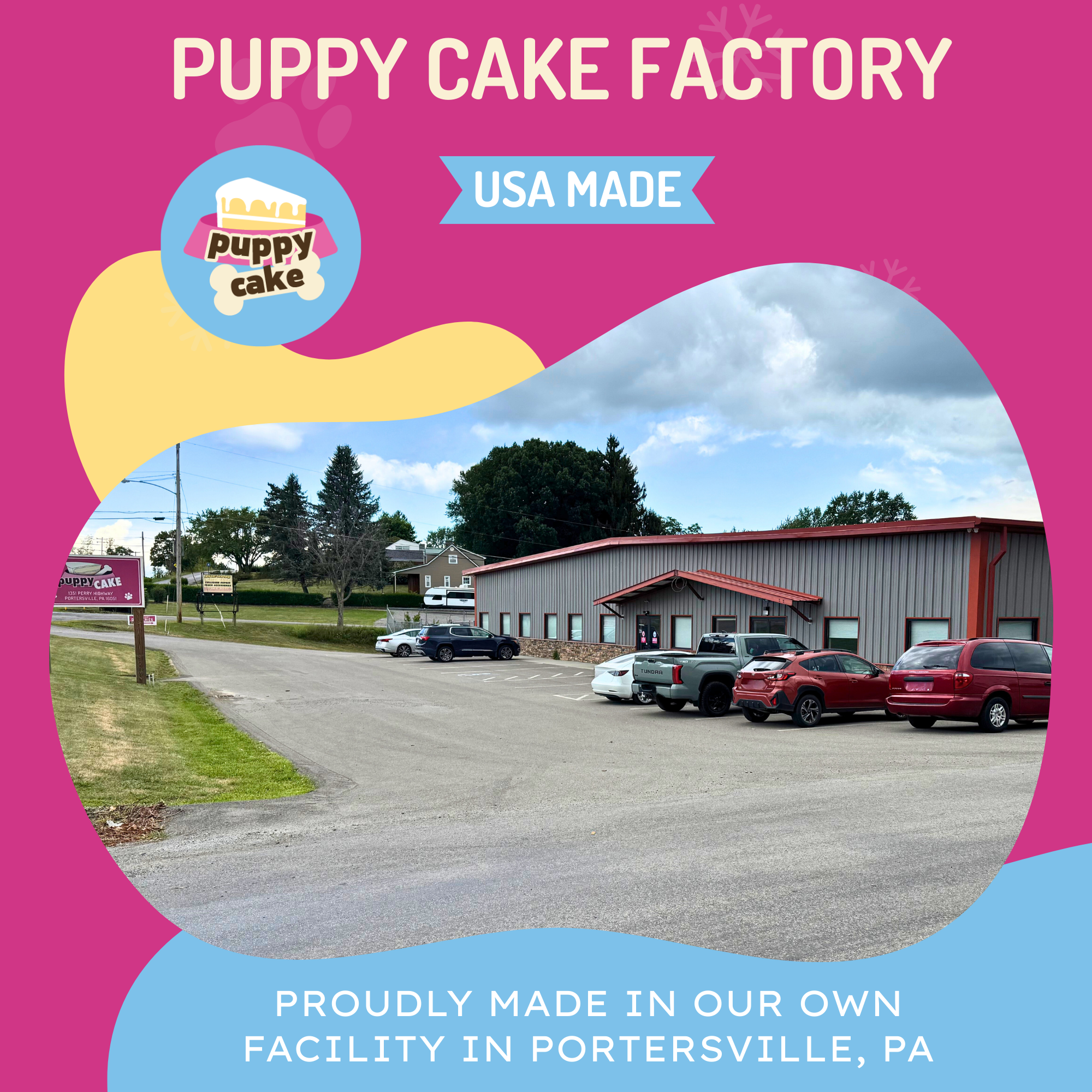 Puppy Cake LLC - Wholesale Pet Treats - Dog - Puppy Cake - Dog Birthday Cake Mixes with Icing13