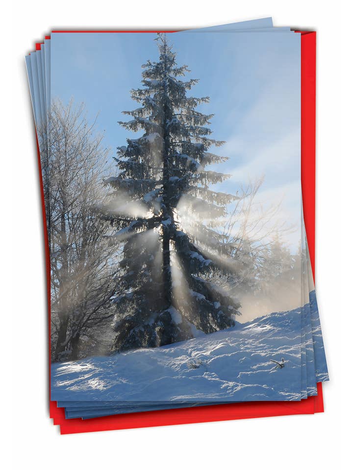 Boîte de 12 cartes de Noël - Christmas Sunrise pour la vente par NobleWorks