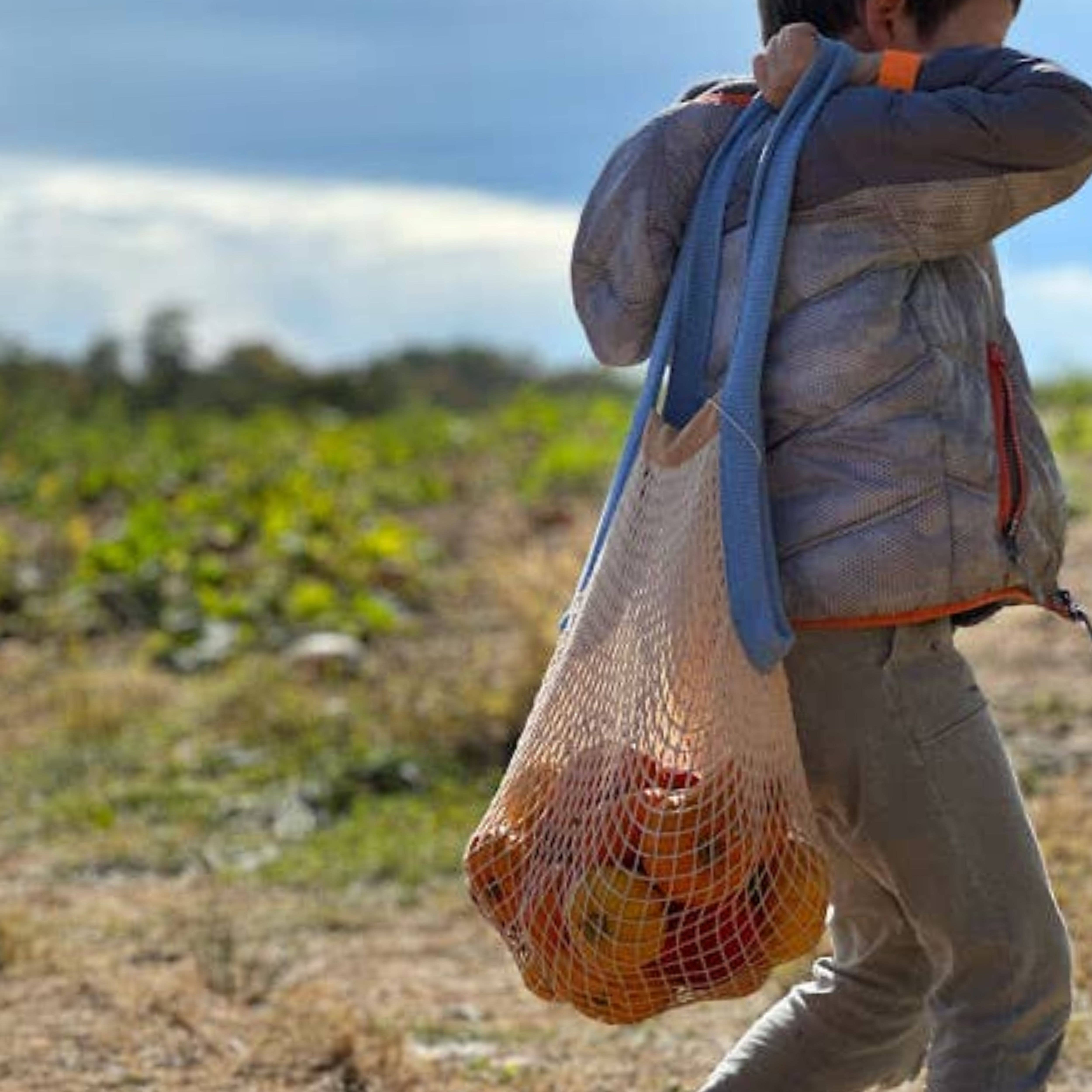 the french market bag two tone for wholesale on Faire5
