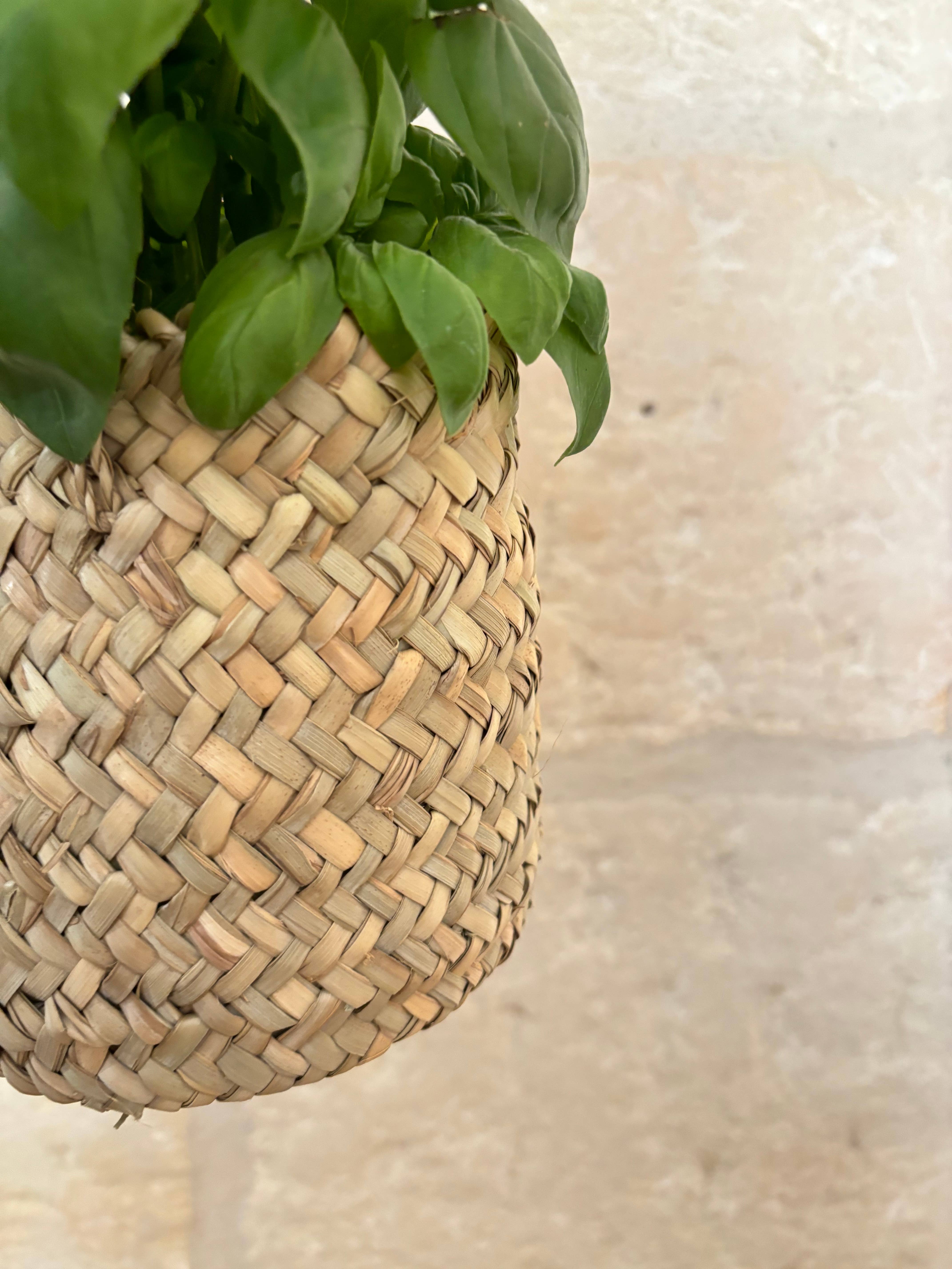 BAHIA HOME - Wholesale Plant Pot Stand - Broome hanging pot cover1