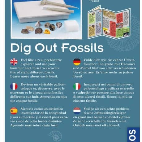 Thames & Kosmos UK LP – wholesale Toy set – Kids – Dig Out Fossils - Science Kit1