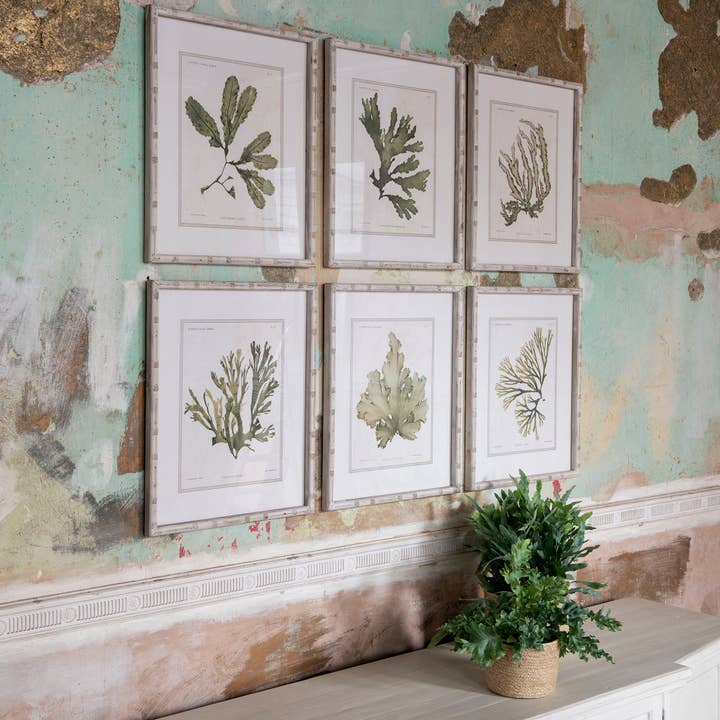 Brookby Set of 6 Fern Wall Art for wholesale by One World