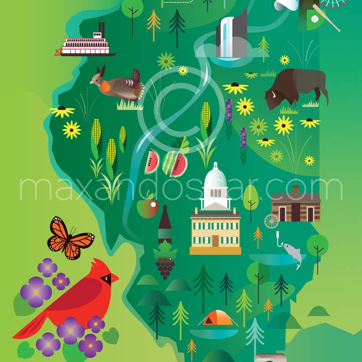 ILLINOIS PRINT for wholesale by Max & Oscar