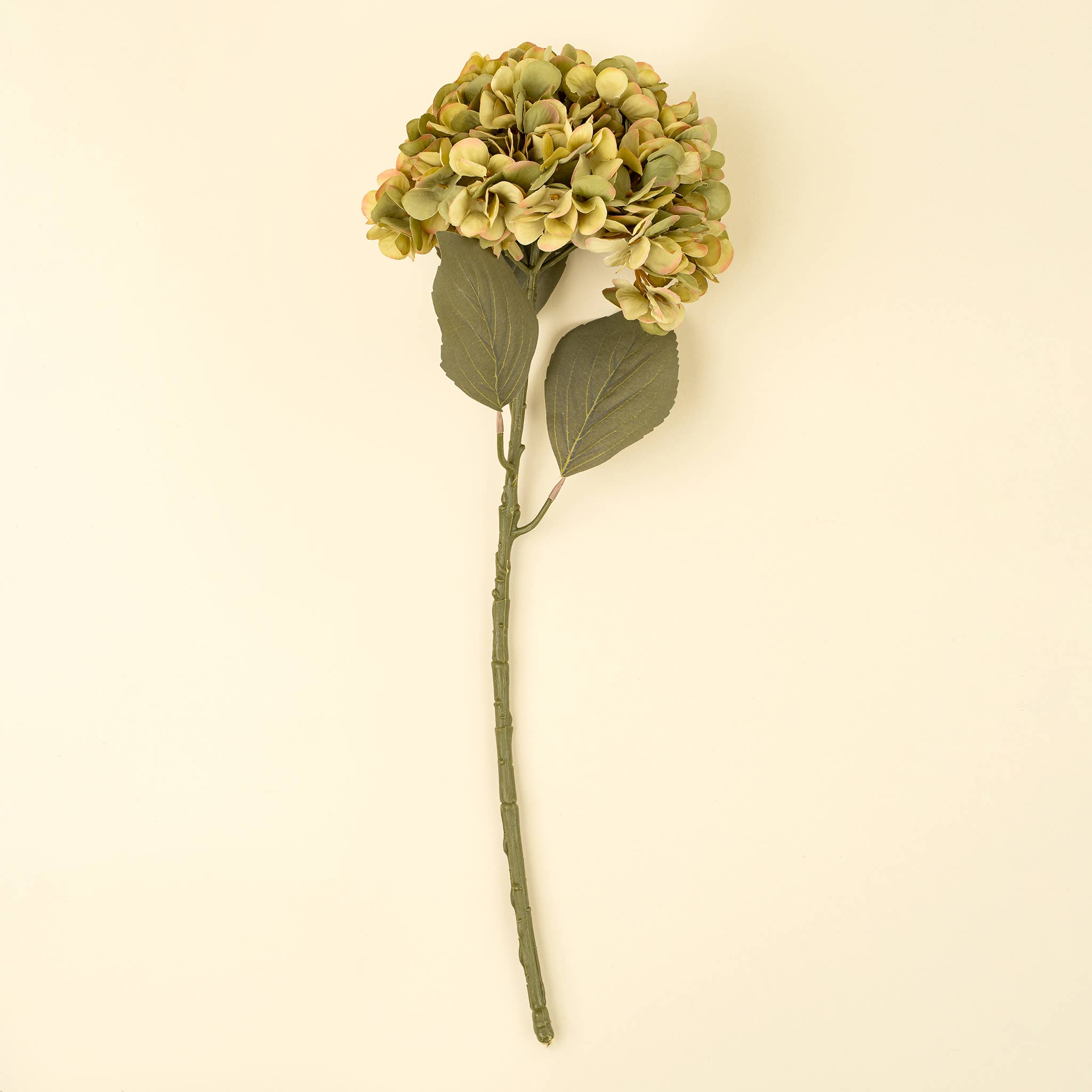 Indaba Trading - Wholesale Artificial Flowers - Faded Hydrangea Stem L, Green3