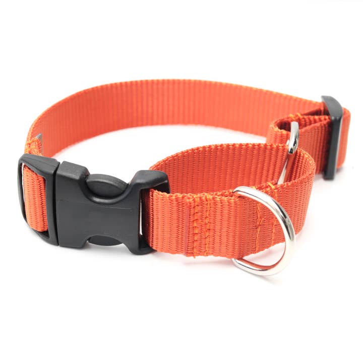Mimi Green - Wholesale Pet collar – Dog - Nylon Martingale Loop Dog Collars Quick Release Buckle14