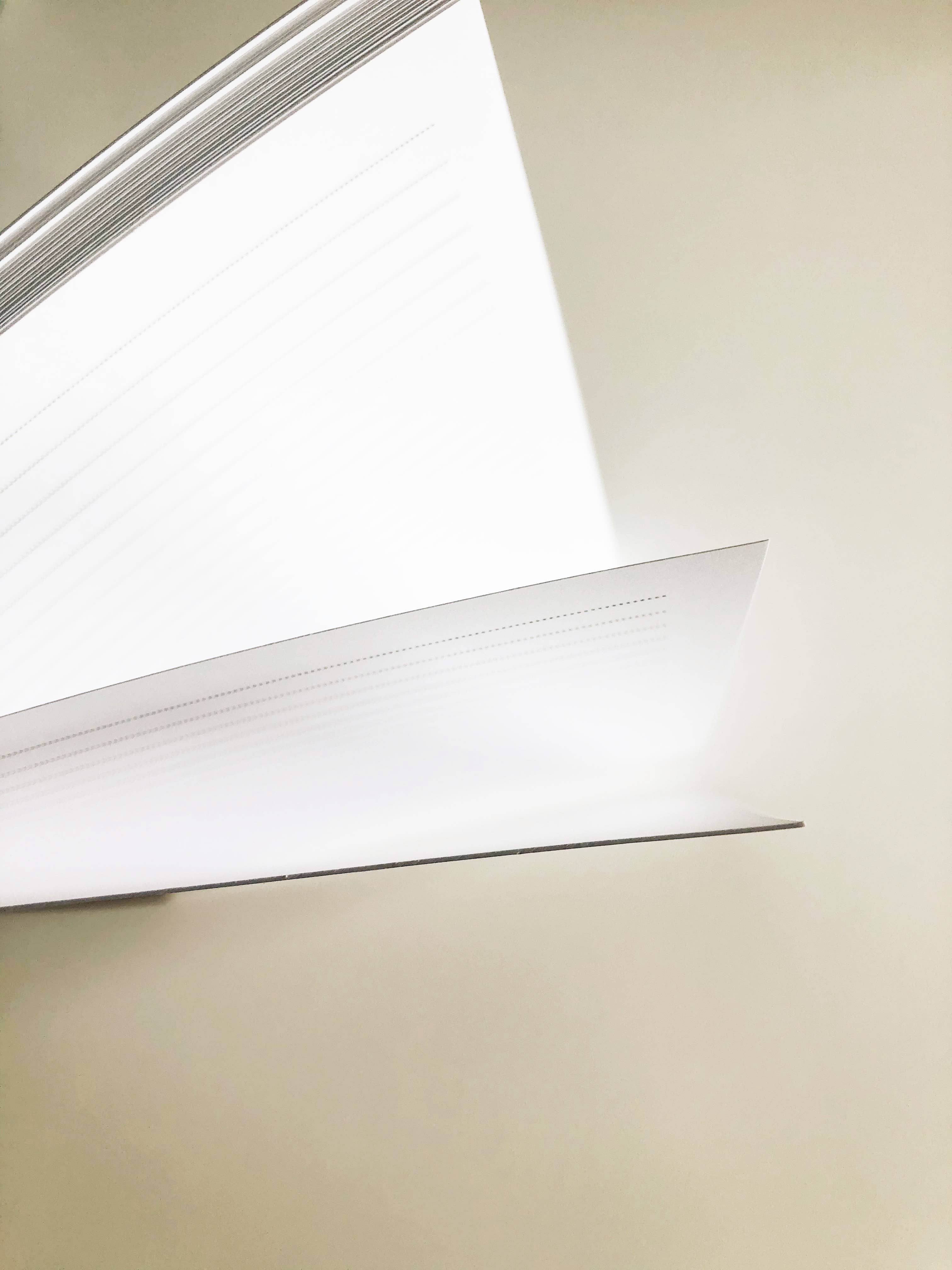 The Anastasia Co - Wholesale Dagboek/agenda - Voor zo'n tijd als dit Esther Lion Spiral Softcover Journal Notebook1