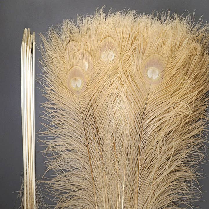 Ojos de cola de pavo real teñidos de color blanqueado, 25 a 40 pulgadas, 10 unidades para venta al por mayor de Zucker Feather Products