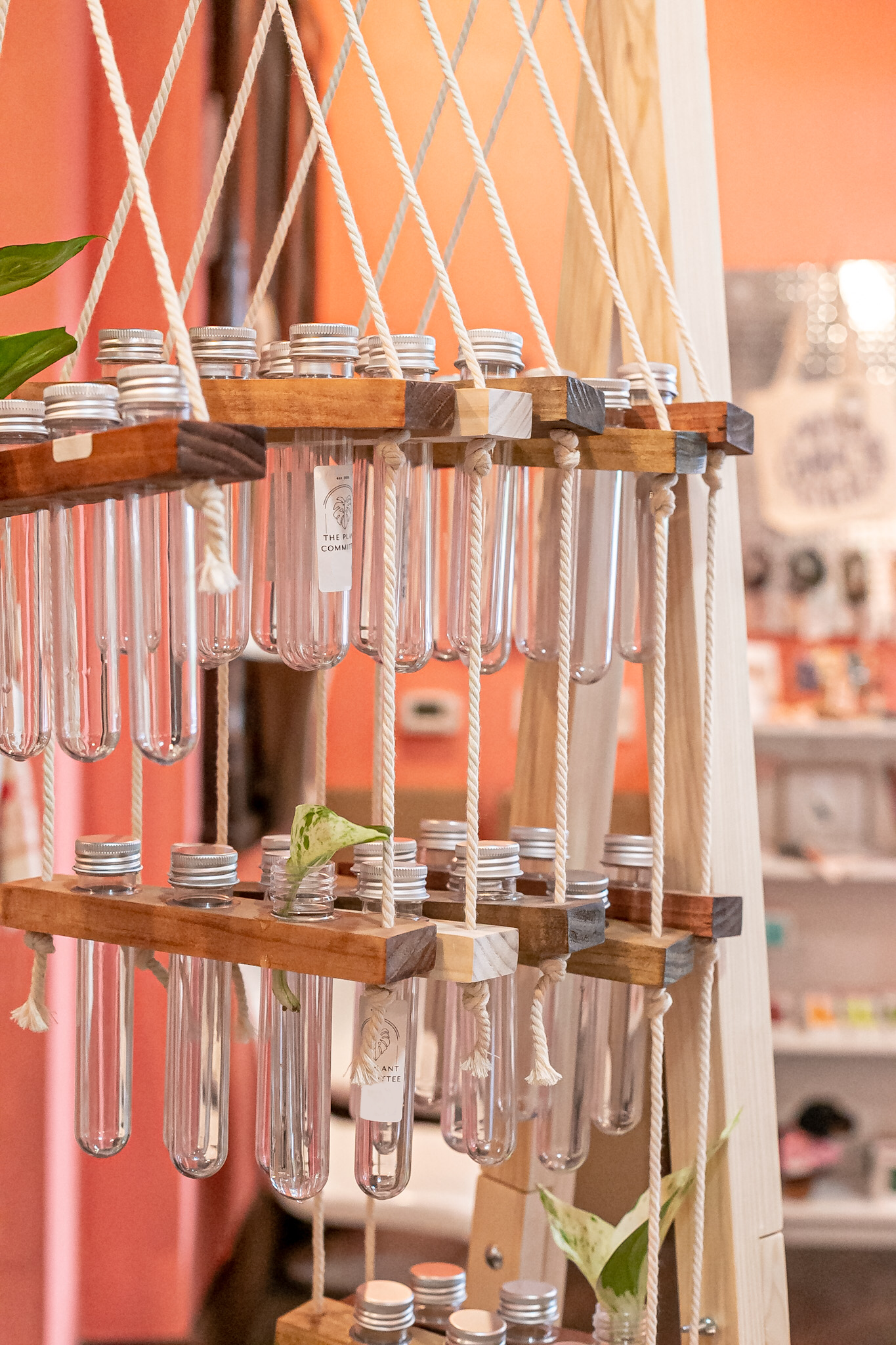 The Plant Committee – Großhandel Wandblumentopf – Aufzuchtstation zum Aufhängen | Wandvase | Wählen Sie Ihre Größe5