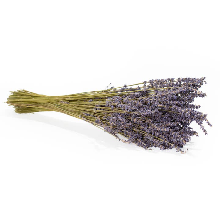 Andaluca - Wholesale Dried/Pressed Flowers - French Lavender Bundle