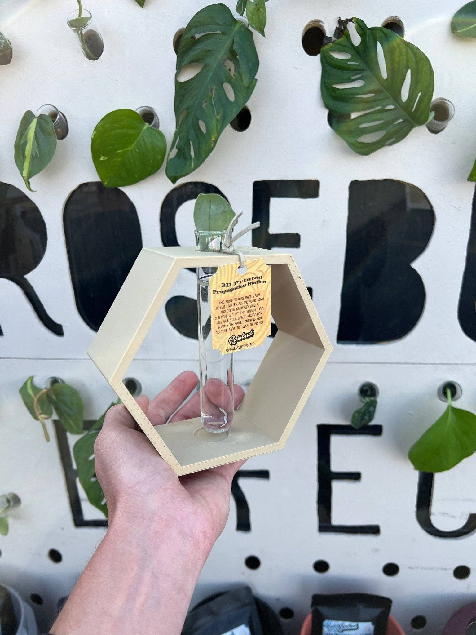 Rosebud Homegoods - Wholesale Plant Pot Stand - Hexagon Propagation Station6