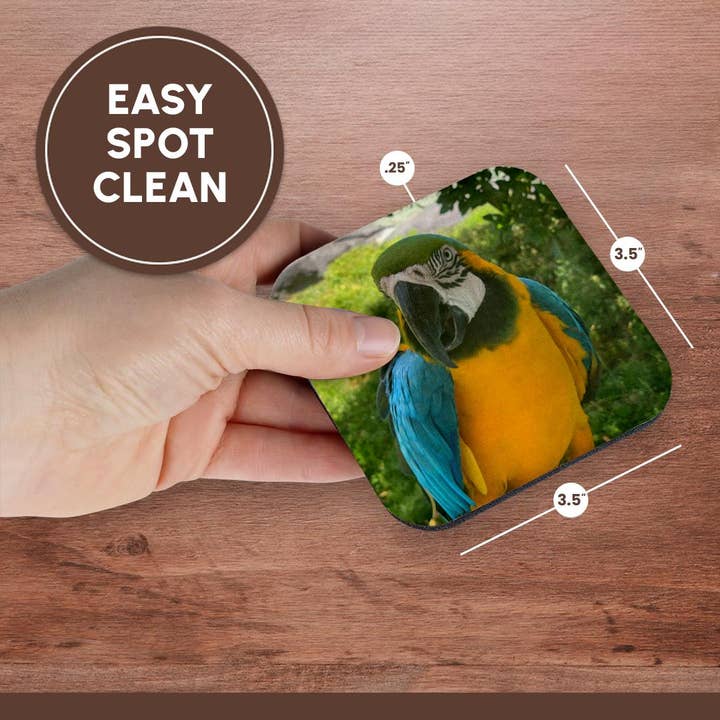 3dRose - Wholesale Coasters - 3dRose, Closeup Macaw, Coaster13