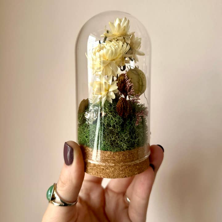 Large Botanical Glass Terrarium Jar w. Dried White Florals for wholesale by CA Studios