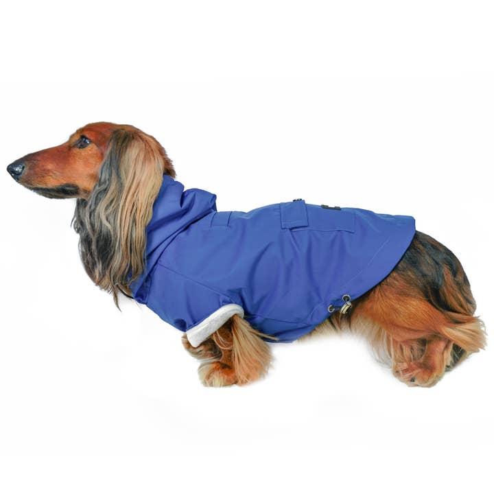 DJANGO - Vendita all'ingrosso Impermeabile - Cani - Giacca e impermeabile per cani Highland Cold Weather - Mariner Blue