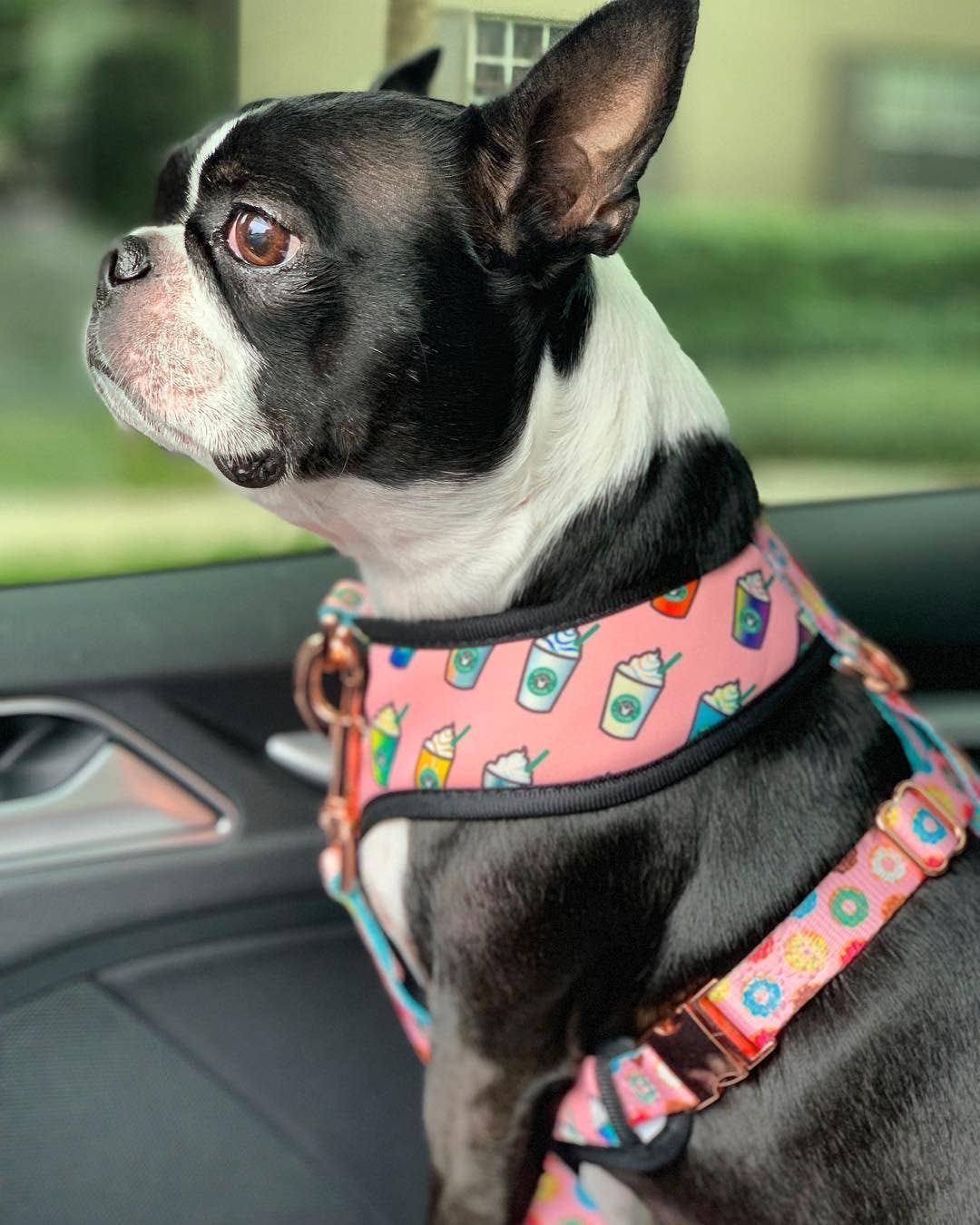 Frenchiestore - Wholesale Pet Harness - Dog - Dog Pet Reversible Health Harness | Pink StarPup7