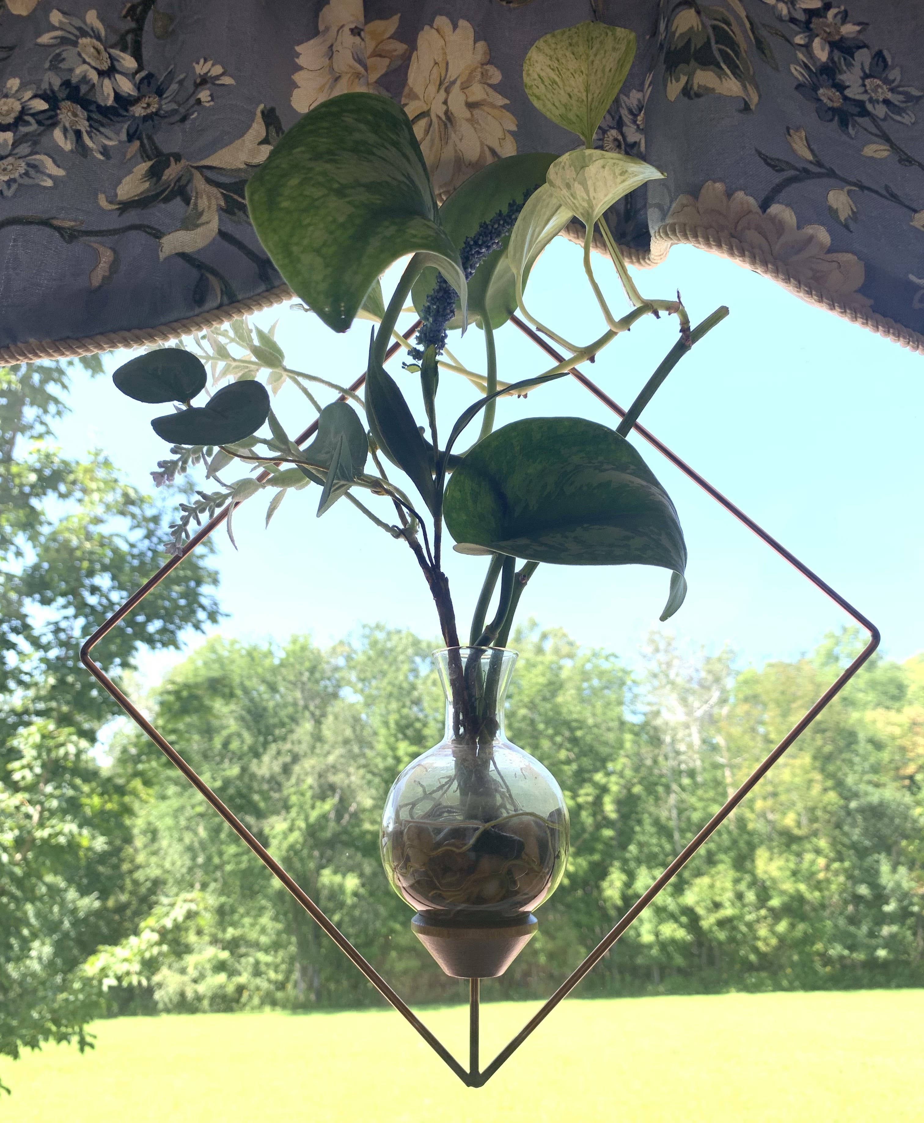 The Brass Butterfly - Wholesale Vase - Square Plant Propagation Rooting Vase3