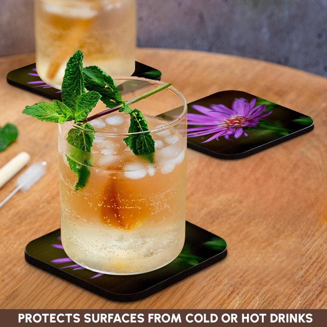 3dRose - Wholesale Coasters - 3dRose, A macro photograph of a single purple aster flower., Coaster9