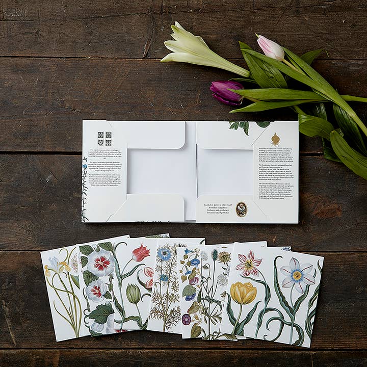 Koustrupco - Wholesale Stationery/Notecard Set - Square cards Renaissance garden set w/ 8 cards and envelopes2