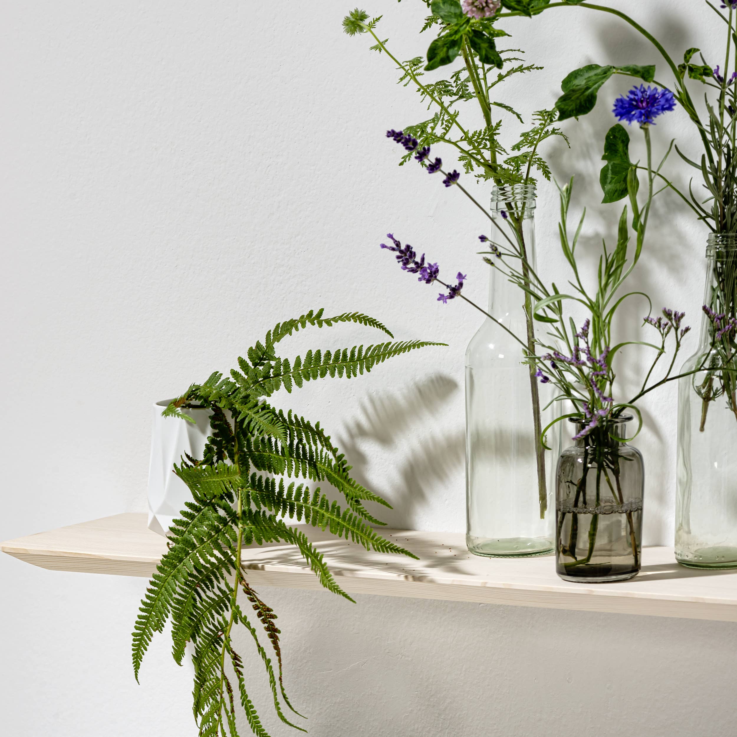 silver fir Weisstanne 02 wall shelf | size M for wholesale on Faire3