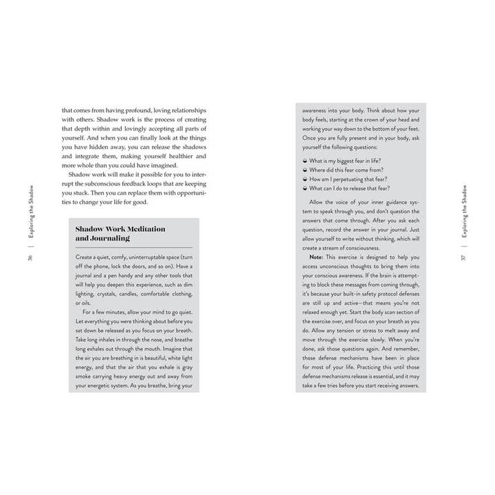 Union Square & Co. - Wholesale Book - Adult - Shadow Work by Danielle Massi
