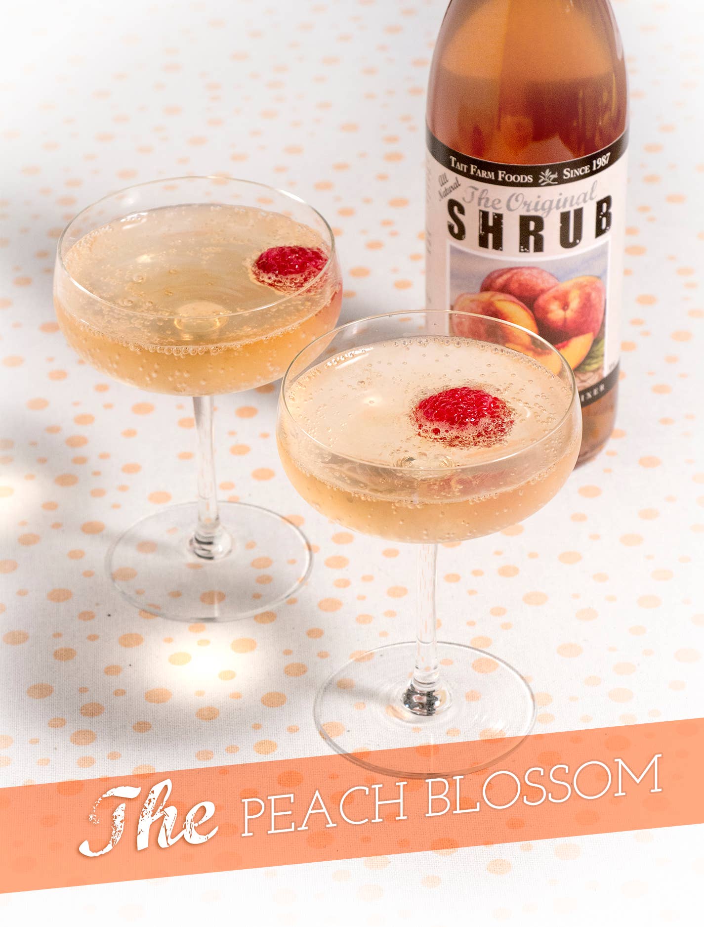 Tait Farm Foods - Vente Mélange/sirop pour cocktails - Pêche Arbuste5