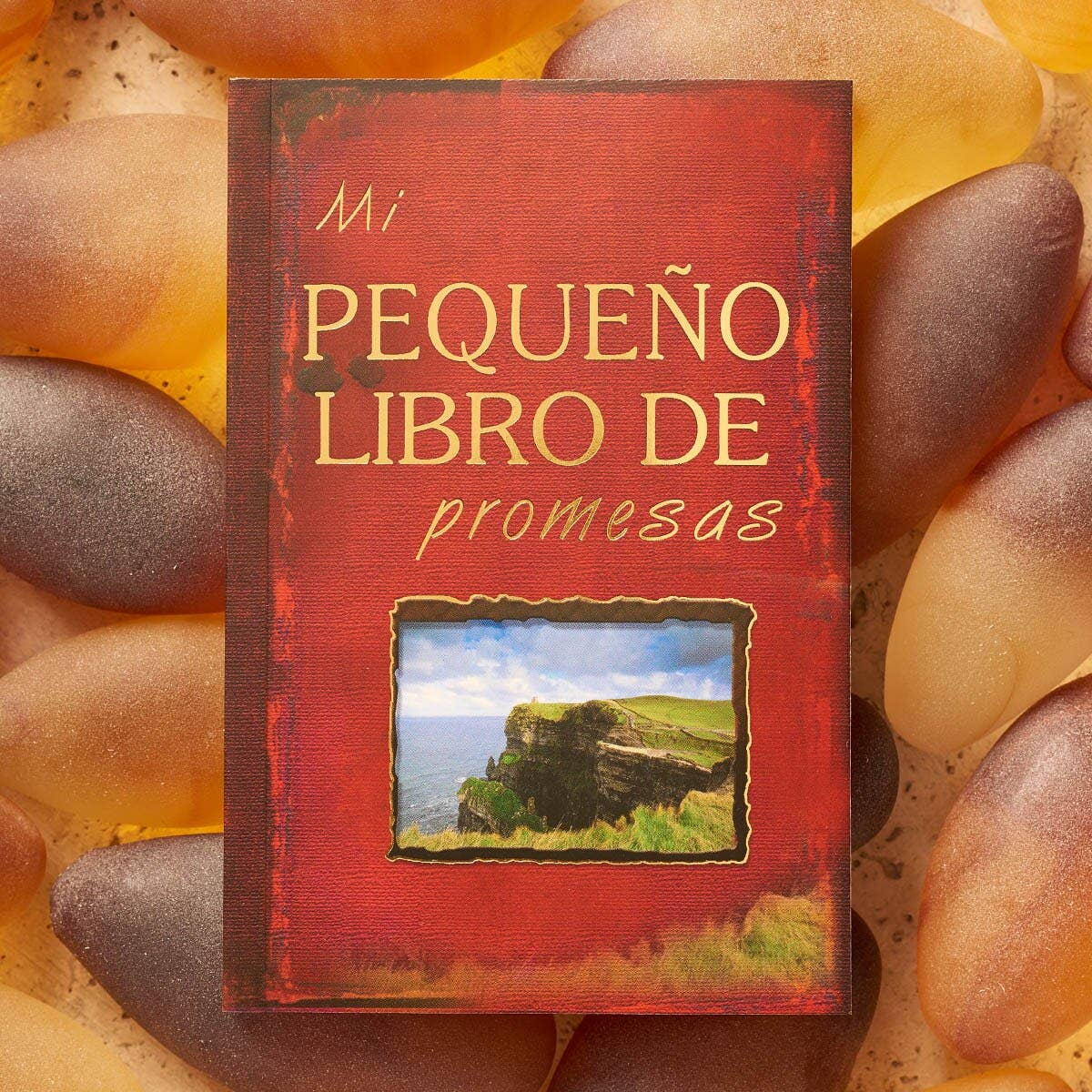 Christian Art Gifts - Vente Livre sur la religion - Mi Pequeno Libro de Promesas2