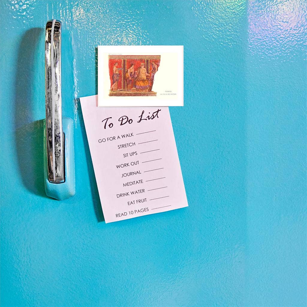 Found Image Press – wholesale Magnet – Magnet AH-13 Fries från Pompeji, Villa dei Misteri1