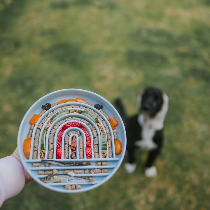 Rainbow Enrichment Bowl Leaden and other Purchase Wholesale cocopup london. Free Returns & Net 60 Terms on Faire trending on Faire.