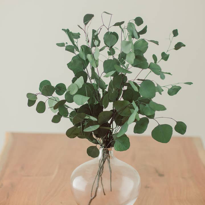 Eucalypt Co. - Wholesale Artificial Plant - Green Silver Dollar Eucalyptus Bundle
