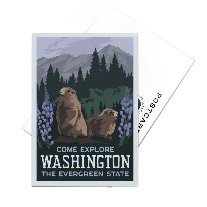 Washington State Olympic Marmot Postcards for wholesale by Recollection Project