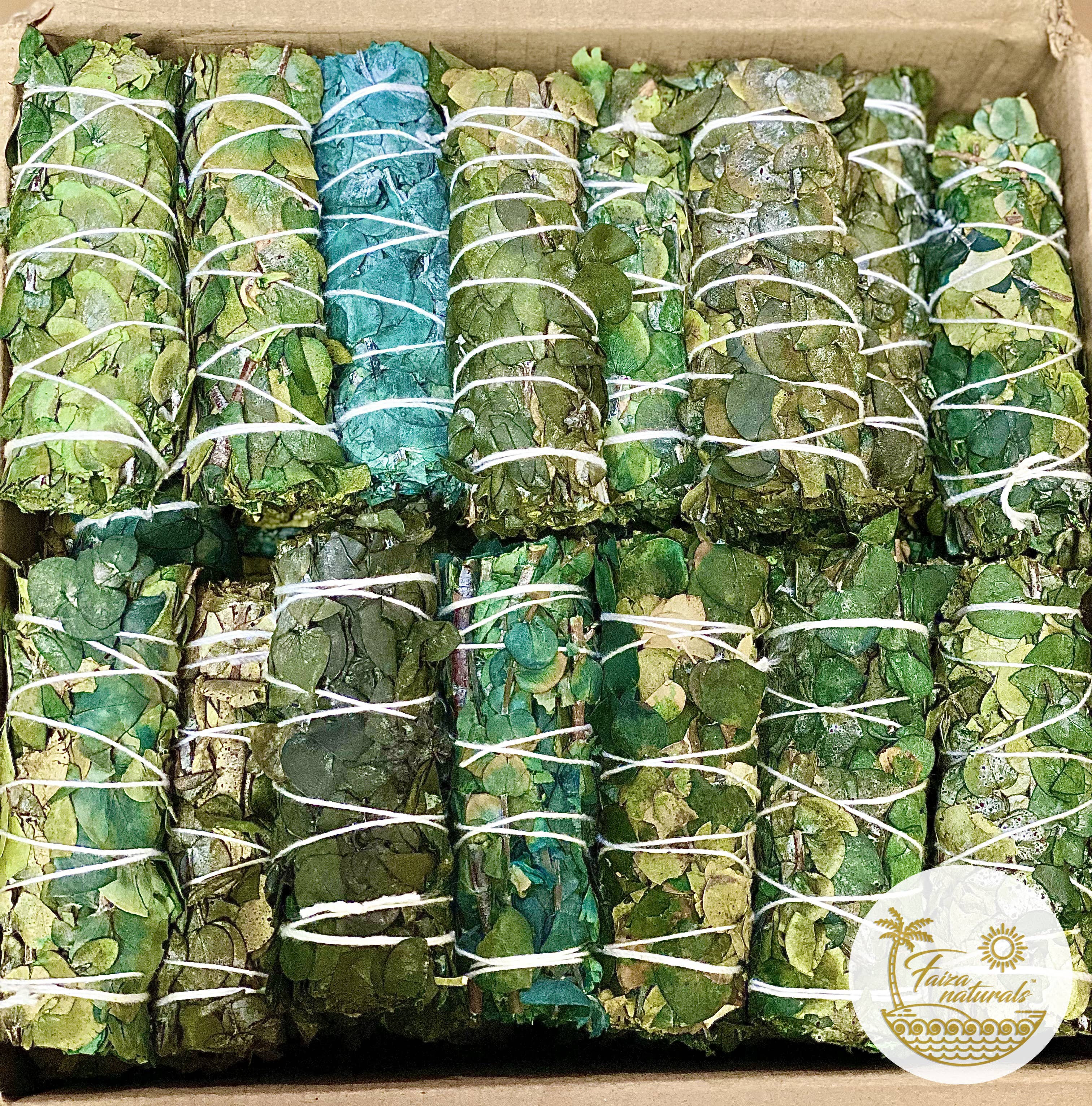 Faiza Naturals - Wholesale Sage Bundle - Eucalyptus Smudge Bundles1