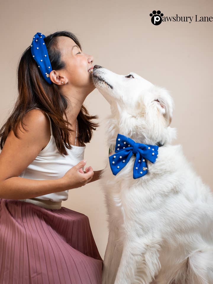Bandeau assorti pour propriétaire et nœud papillon pour animal - Sucre et Perles - Bleu pour la vente par Pawsbury Lane