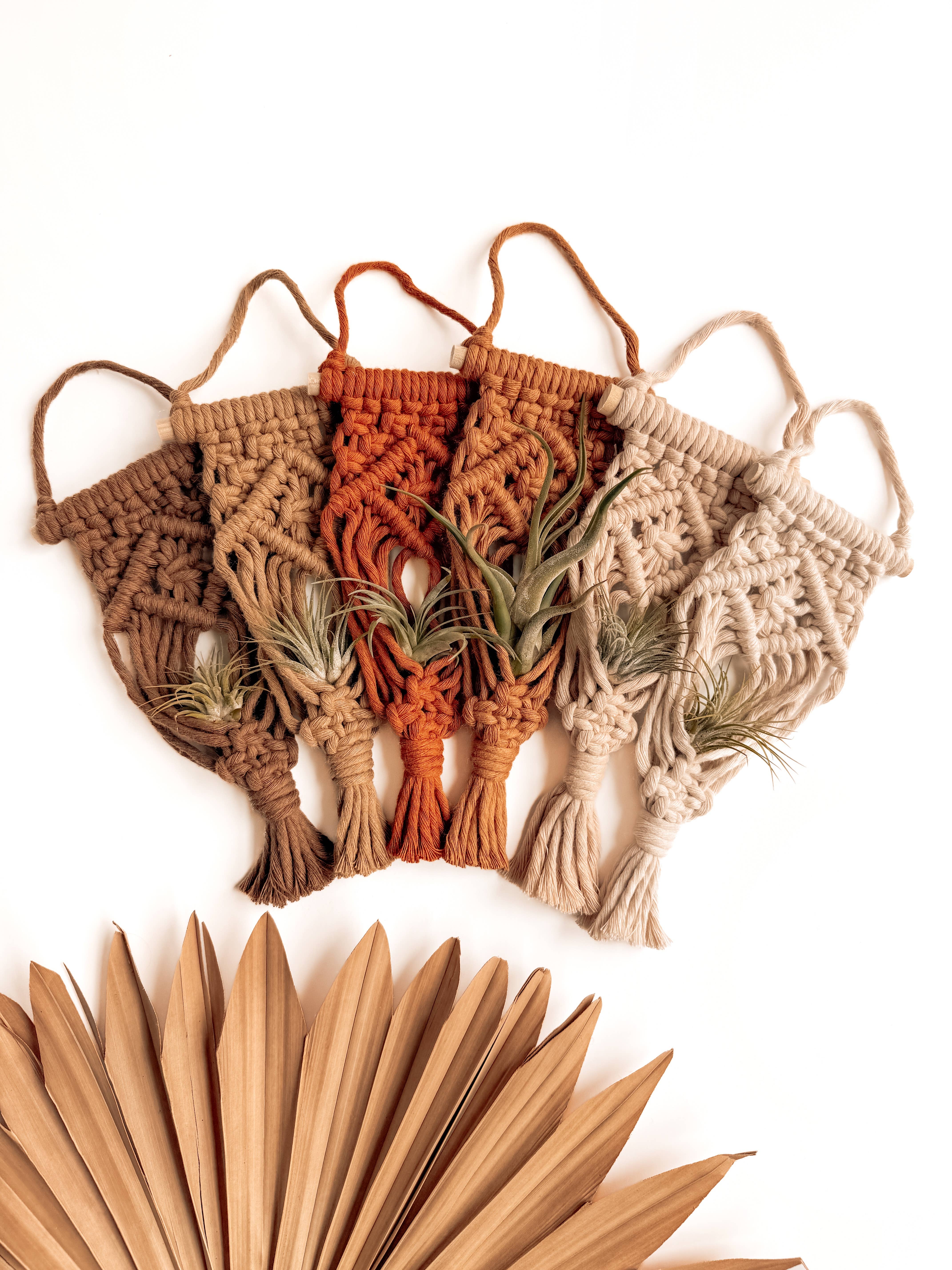 Meraki The Studio Co. - Wholesale Hanging Planter - Air Plant Hanger | Macrame Planter Holder | Boho Home Decor9