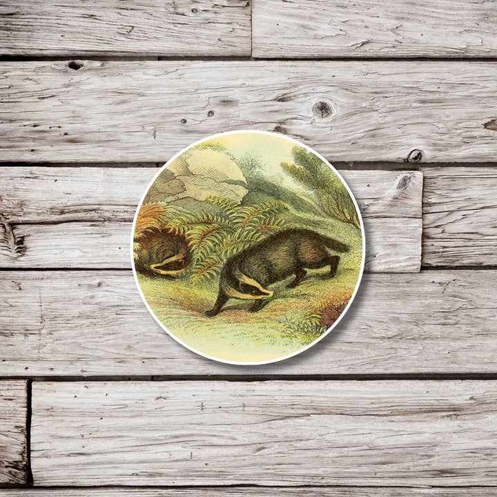 Badger Sticker, Animal Sticker, Natural History Sticker for wholesale by NatureCuts
