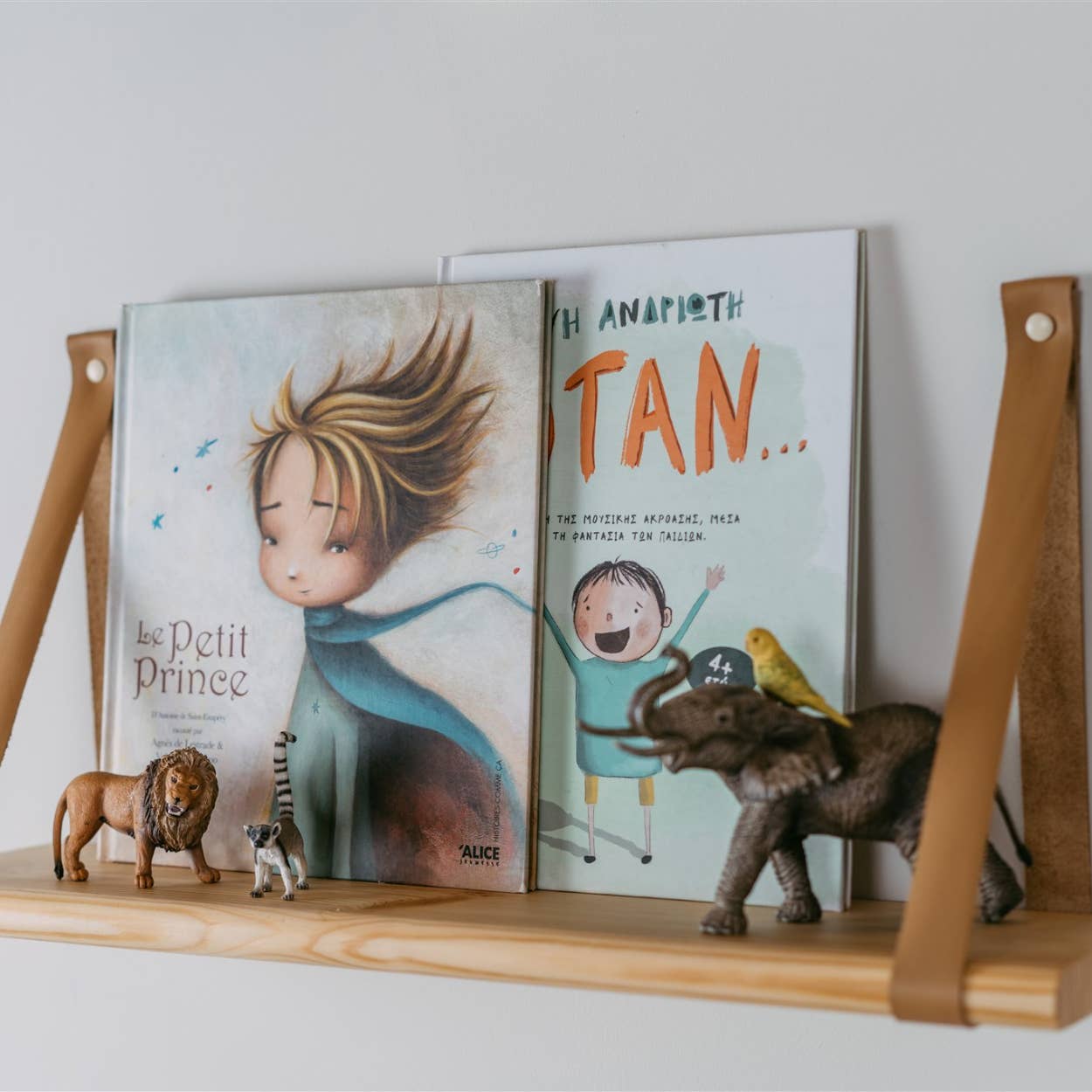 Shaman Inventions SIA - Wholesale Wall Mounted Shelf - Floating Shelf7