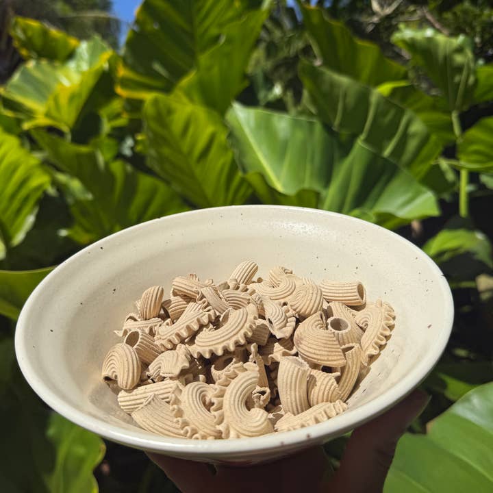 Mushroom Medley for wholesale by Cozy Bowl