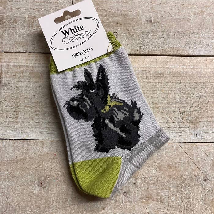 White Cotton Cards - Venta al por mayor Calcetines - Mujer - 6 pares de calcetines de lujo con perro Scottie, talla UK 4-7 (SKS10)