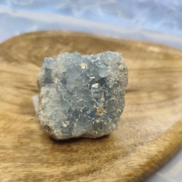 Celestina 171GR för wholesale av Con Le Stelle