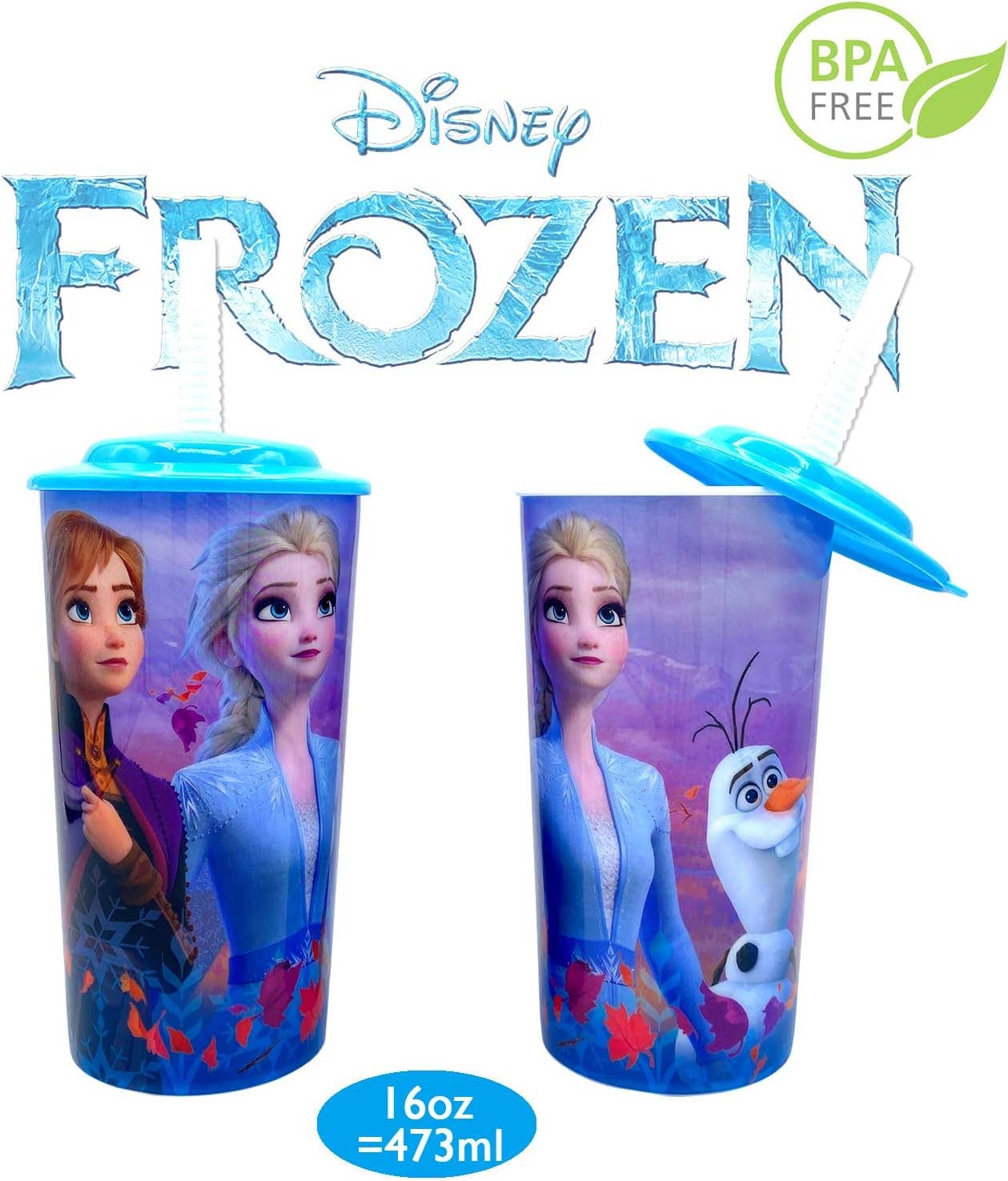 Innovarix - Wholesale Water Bottle - Disney Frozen Elsa and Anna Water Tumblers - 16oz 2