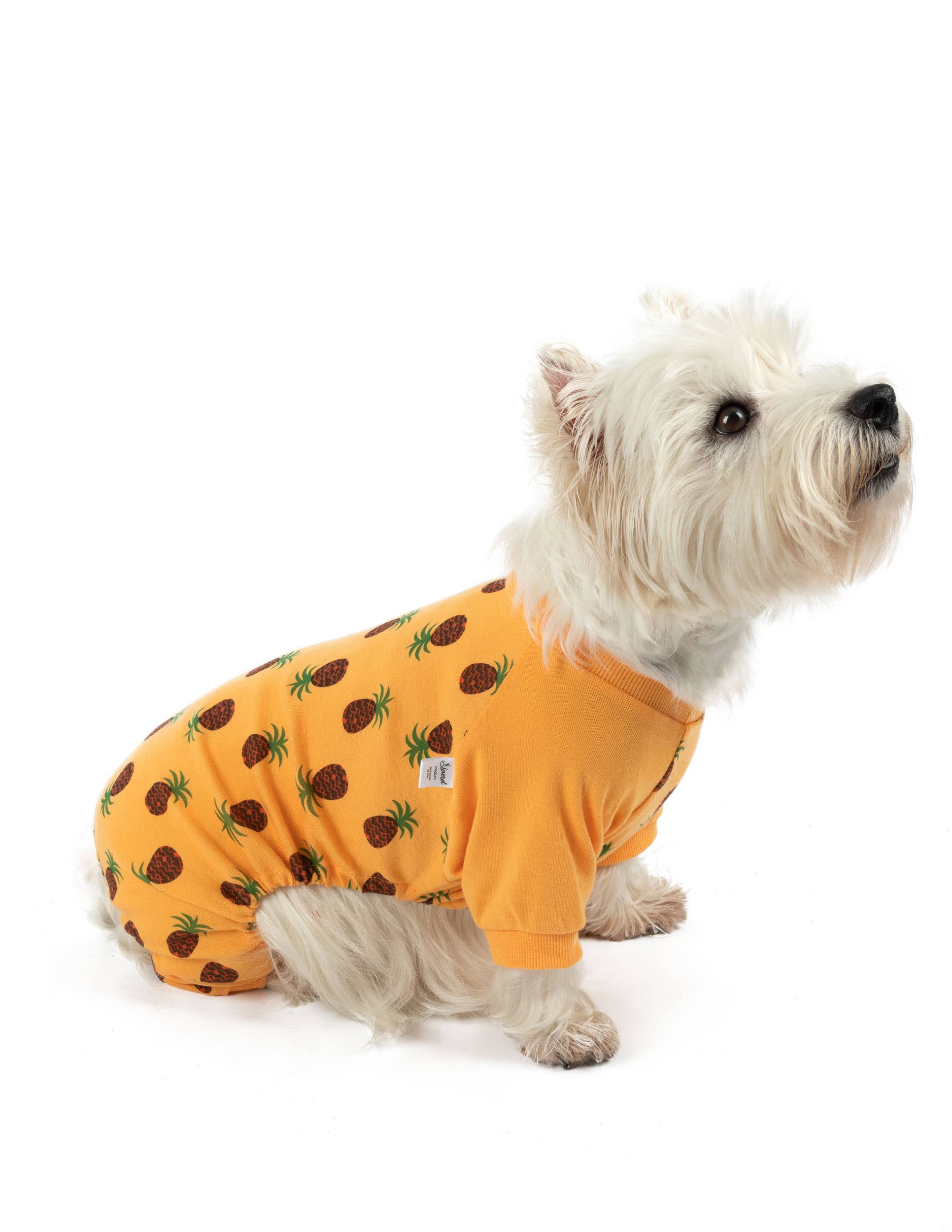 Leveret Pajamas – Großhandel Haustierpyjama – Hund – Hundebaumwoll-Pyjama mit Muster30