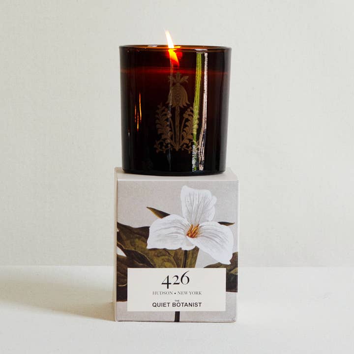The Quiet Botanist - Wholesale Jar/Filled Candle - 426 Candle - The Scent of our Store.0